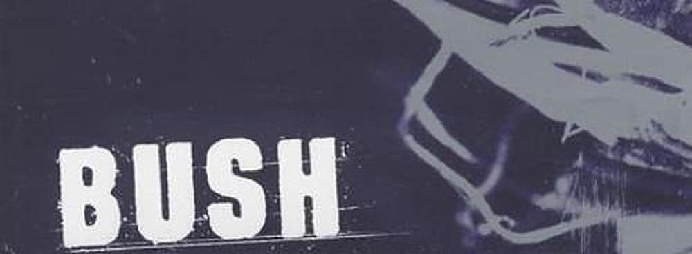 Bush-2000-logo