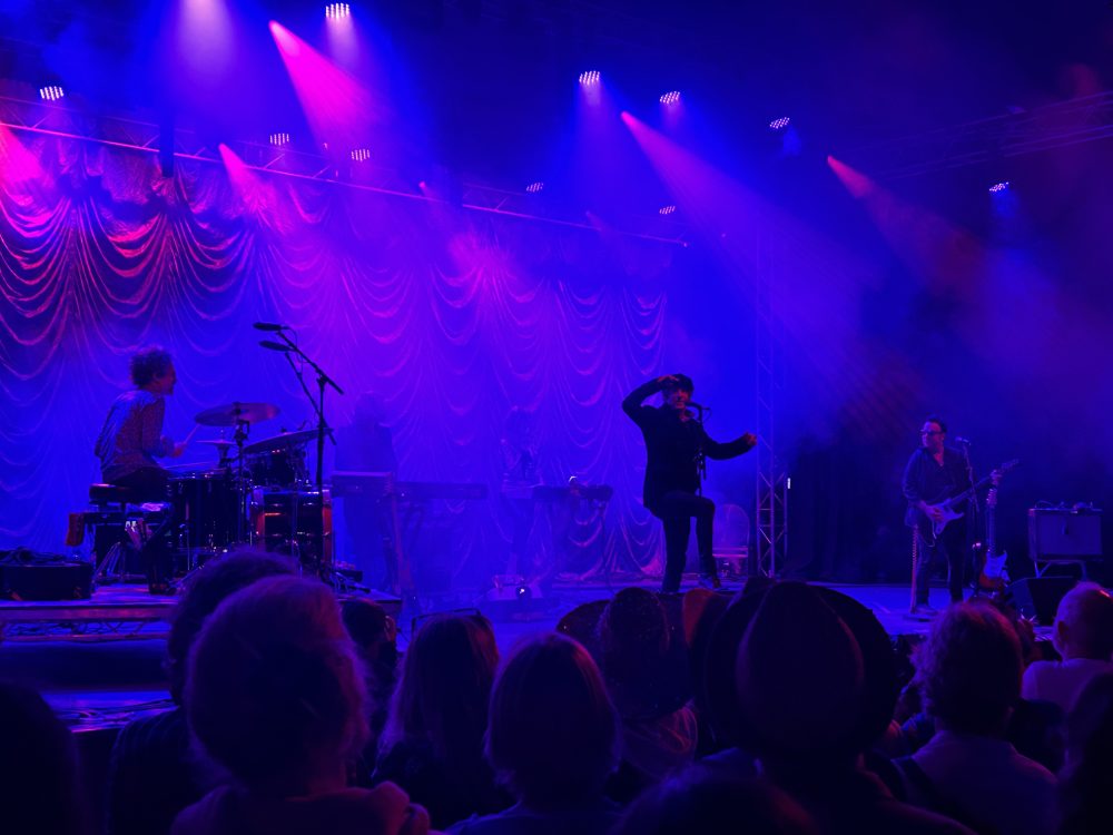 Mercury Rev