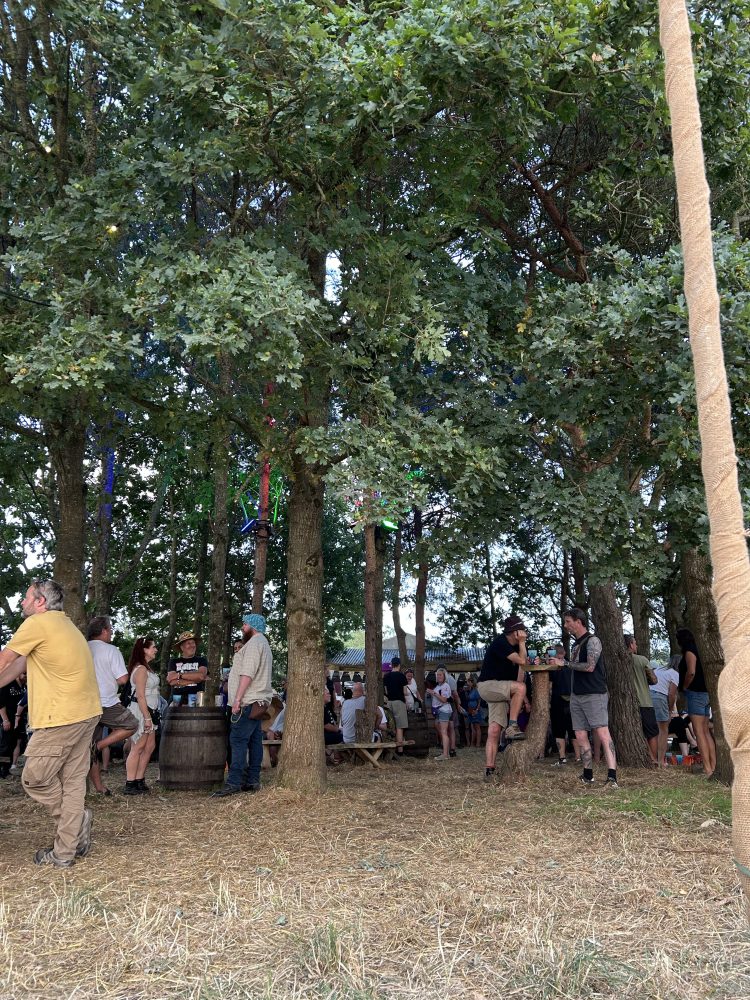 Nice little forest bar